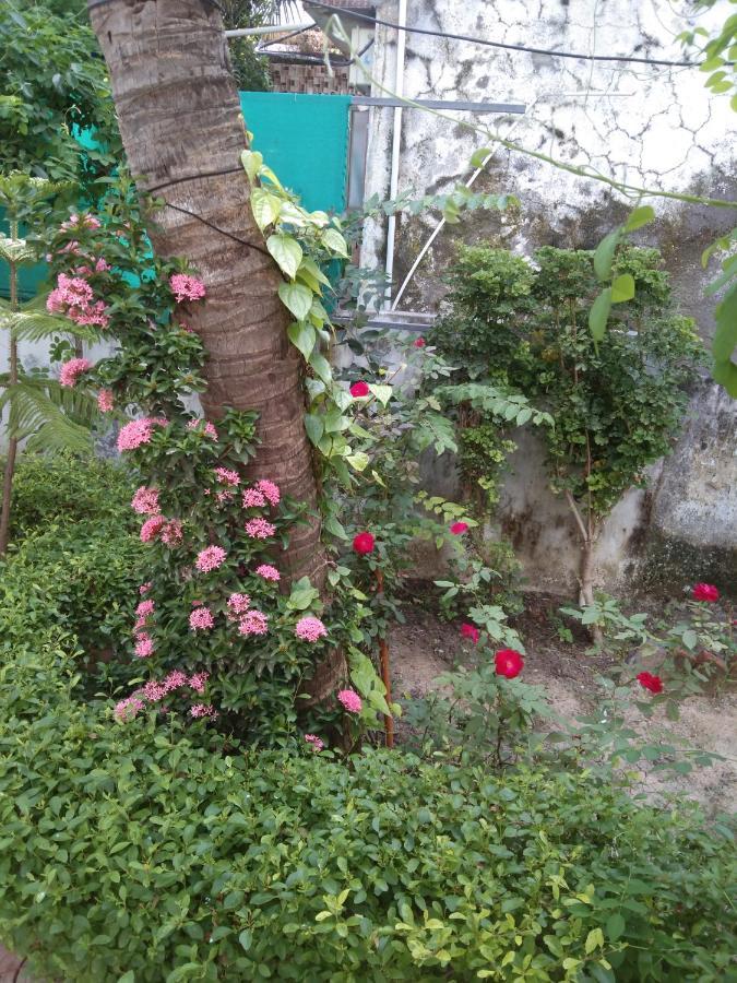 Gurukrupa Bunglow Dwarka  Ngoại thất bức ảnh